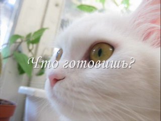 Куплю спортивную одежду Самара
